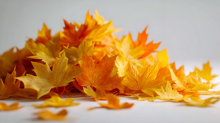 A collection of vibrant autumn leaves in shades of yellow and orange, scattered artistically on a light surface, evoking a sense of warmth and the beauty of the fall season for creative projectsの素材