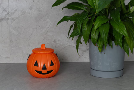 Orange pumpkin container placed next to a lush green plant on a smooth gray surface, enhancing seasonal decor vibesの写真素材