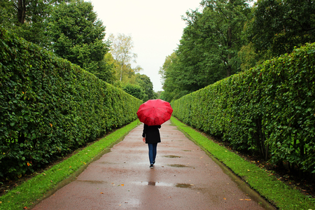 young girl walks along the green alleys from the bushes in the rain with red umbrella.の写真素材