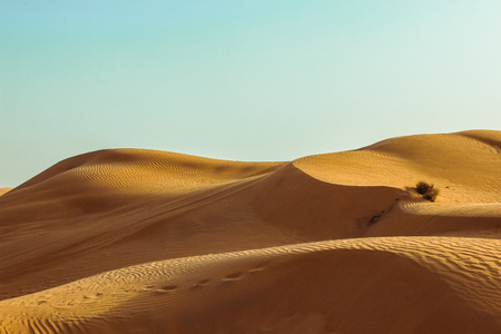 Sand dunes of the desert close up. Dubai 2019.の写真素材