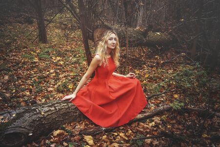 Young pretty woman in the red dress is walking in the foggy mystical forest with fallen leavesの写真素材