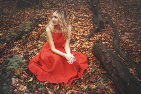Young pretty woman in the red dress is walking in the foggy mystical forest with fallen leavesの写真素材