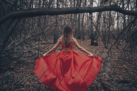 Young beautiful woman in the long red dress is walking along foggy mysterious forest.の写真素材