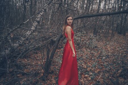 Young beautiful woman in the long red dress is walking along foggy mysterious forest.の写真素材
