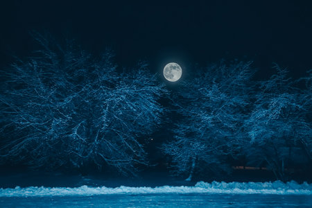 Night  landscape with trees and fullmoon closeup in winter season.の写真素材