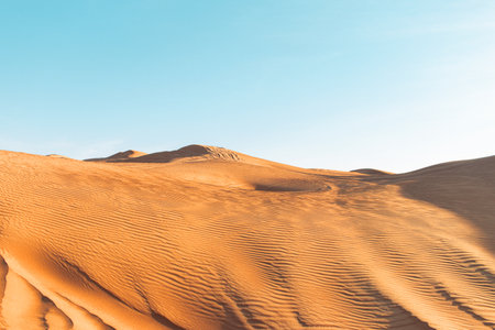 Sand dunes of the desert close up. Dubai 2023.の写真素材