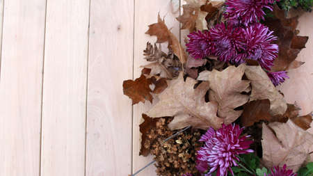 Bouquet of purple hrysanthemum flowers, dry oak leaves and dry hydrangea branches on a light wooden background. Floral autumn background. Top view, copy space.の写真素材