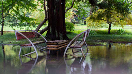 Two wet empty benches and a table in a flooded park in the shade of trees. Recreation area in summer. After heavy rains, the park is flooded.の写真素材
