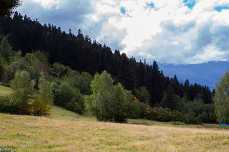 Summer mountain landscape in the Caucasus mountains. Green Forest. Blue sky with clouds covering the peaks of the mountains. A tourist route.の写真素材