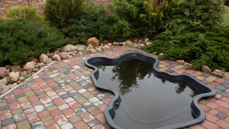 Fenced back yard with plunge pool and bushes. Garden of stones and conifers by the pool.の写真素材