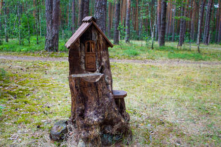 House in a stump in a pine forest. Summer sunny day. Housing for forest animals with art elements.の写真素材