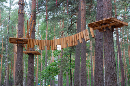 Bridge made of logs tied to ropes, part of the rope course. Rope park in the forest. A route for...