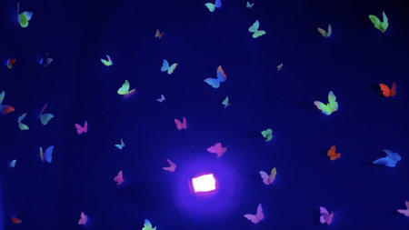 Lots of colorful paper butterflies on a blue background. Flight of bright butterflies to the source...