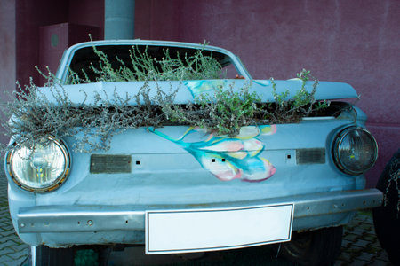 Flower bed under the hood of an old car. Vintage blue car with round headlights and closed hood with decorative plants and flowersの写真素材