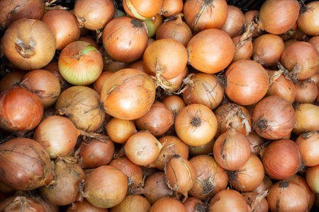 Fresh onions at the autumn market. Natural vegetable backdrop. Autumn harvest.の写真素材