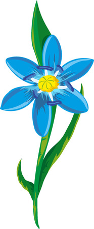 Illustration of a blue spring flower. Blue Scilla flowers.のイラスト素材