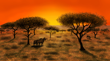 Illustration of savannah in national park of the Africaの写真素材