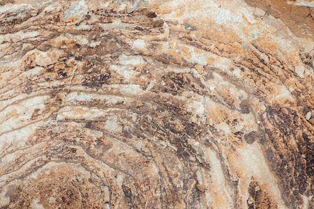 Photo of texture sandstone in closeupの写真素材