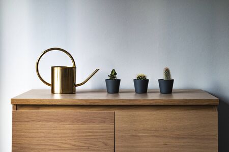 Watering can and small plants in dark pot on the wooden table and gray backgroundの写真素材