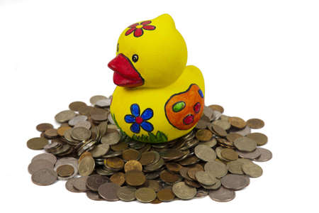 duck with money inside made a childの写真素材