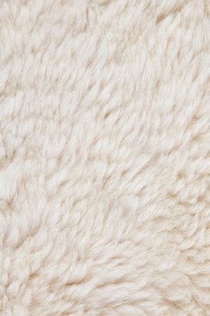 wool sheep closeupの写真素材