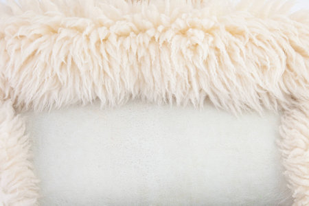 wool sheep closeup