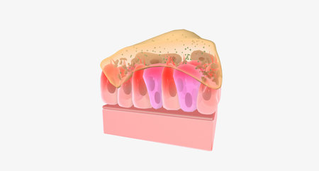Viral Infection of Bronchiole Respiratory Epithelium 3D renderingの写真素材