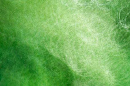 Blurred green abstract background with white smooth linesの写真素材
