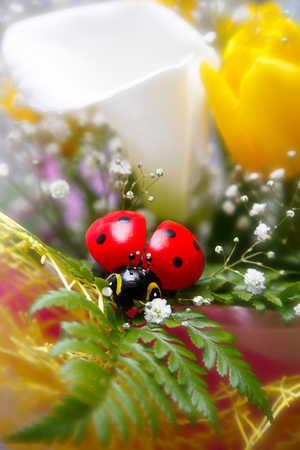 the toy ladybug on spring bouquet of calla lilies and yellow tulipsの写真素材