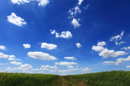 under blue skyの写真素材