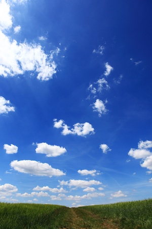 under blue skyの写真素材
