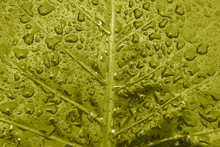 water drops