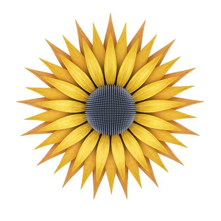 Abstract metallic sunflowerの写真素材