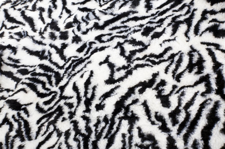 Series. Zebra fabric texture
