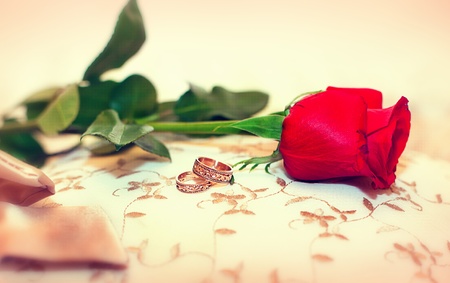 Series. wedding rings and rosesの写真素材