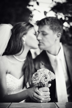 Series. newlywedsの写真素材