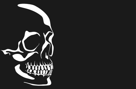 Series. Vector image of a human skull on a black and white backgroundの写真素材