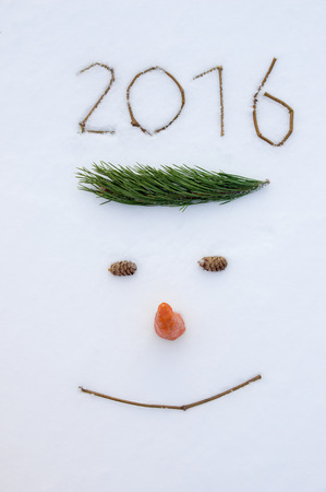 New Year 2016 face on snowの写真素材