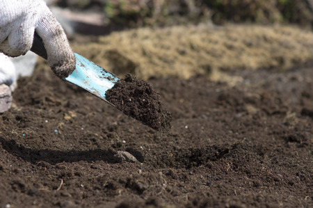 work in the gardenの写真素材