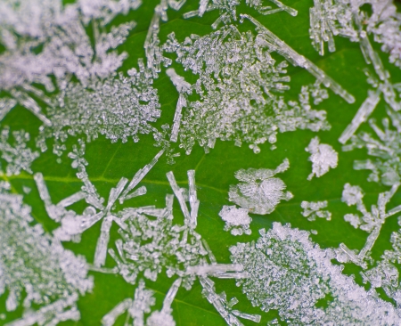 icy morning dewの写真素材