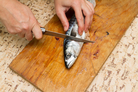 A woman chef slices a fish mackrel on a wooden Board on the kitchen tableの写真素材