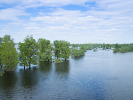Flood river flow, spilled  forest trees after big thunderstorm. Nature disasters,catastrophe,rainstorm.の写真素材