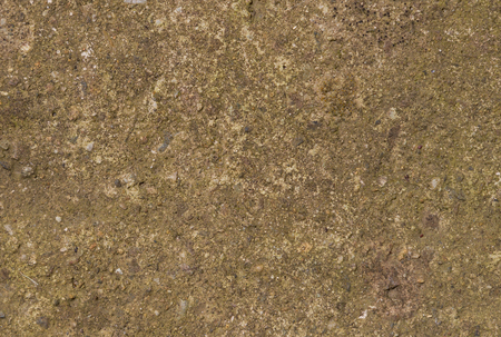 Stone Texture Close Up. Details Macro Wall, Nature Background.の写真素材