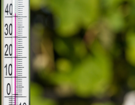 Climate Change Thermometer Gives Indicates Heat in The Atmosphere.  Heat Of Summer on a Natural Background.の写真素材