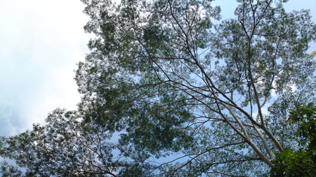 Nature is Beautyの写真素材