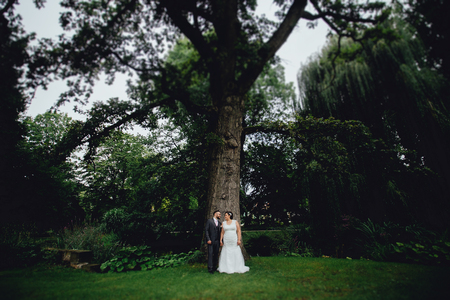 Portrait of a beautiful wedding couple. They are standing in the park, under a very big green tree, holding their hands and looking ar each other.の写真素材