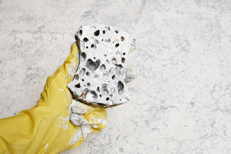 Application of paint to a cotton host using a spongeの写真素材