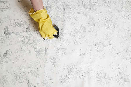 Application of paint to a cotton host using a spongeの写真素材