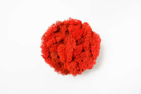 Stabilized moss in the form of the national flag of Japan.の写真素材