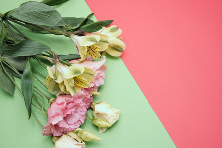 Spring flowers. Holiday card. White flowers of cherry on a blue and yellow background. Place for text, flat lay, top view, copy spaceの写真素材